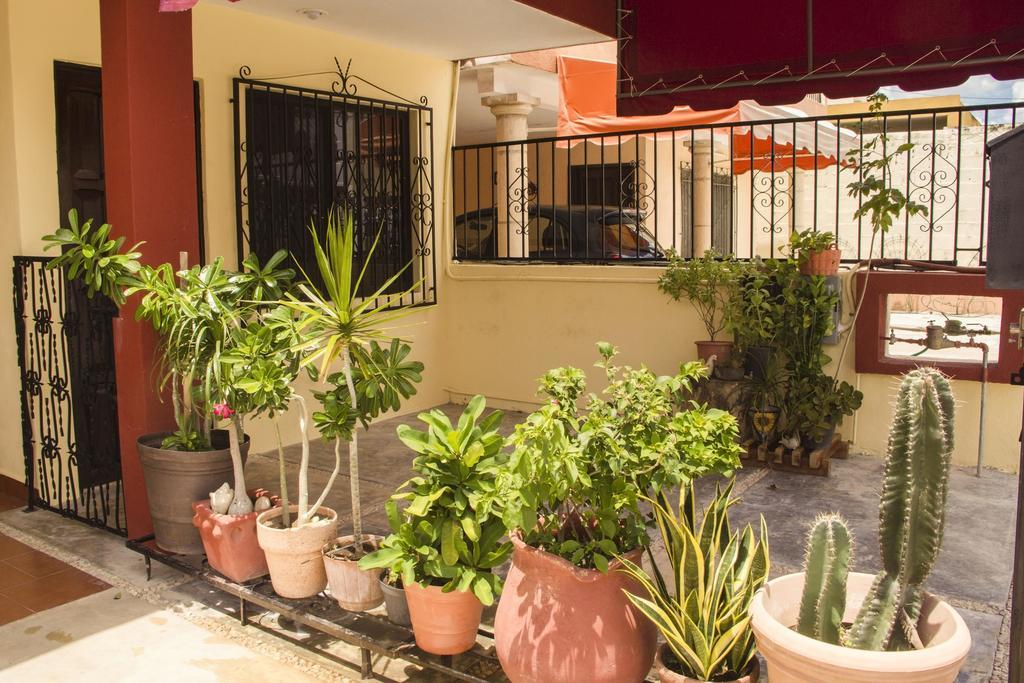 La Casa Del Chac Villa Merida Exterior photo