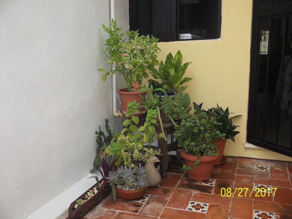 La Casa Del Chac Villa Merida Exterior photo